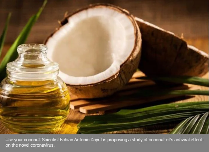 Ateneo scientist studies coco oil vs nCoV